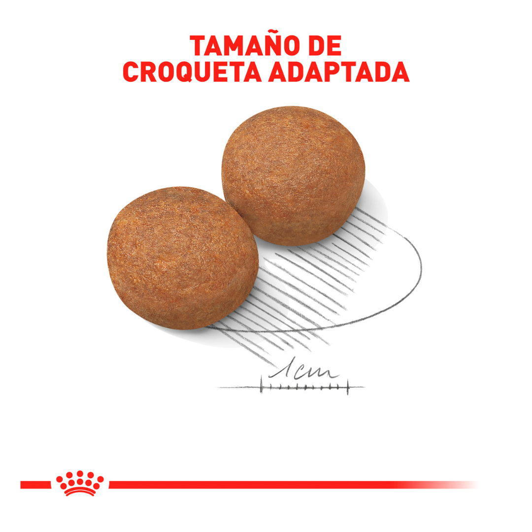 Royal Canin Alimento Seco para Perro Adulto Raza Grande, 13.6 kg