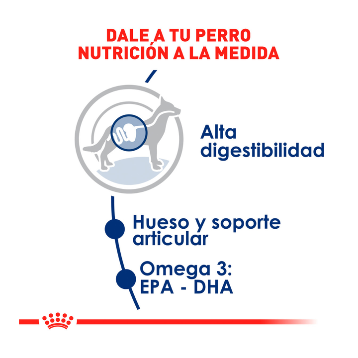 Royal Canin Alimento Seco para Perro Adulto Raza Grande, 13.6 kg