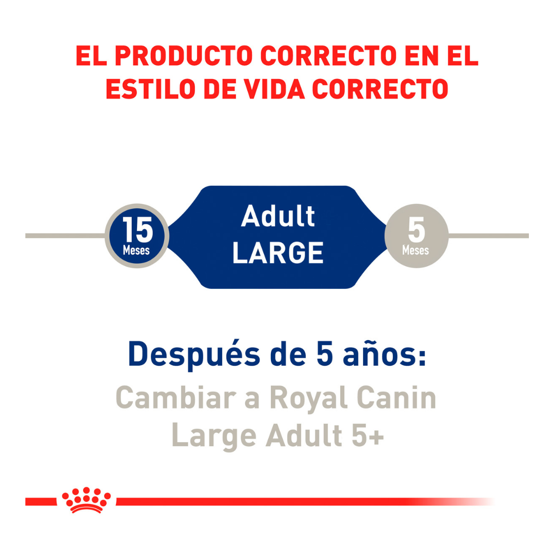Royal Canin Alimento Seco para Perro Adulto Raza Grande, 13.6 kg