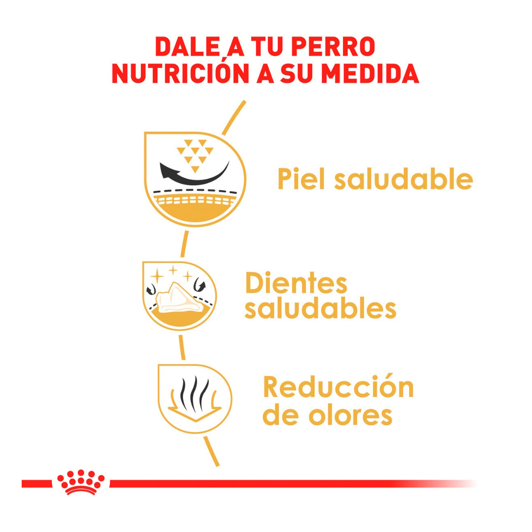 Royal Canin Alimento para Perro Adulto Raza Shih Tzu