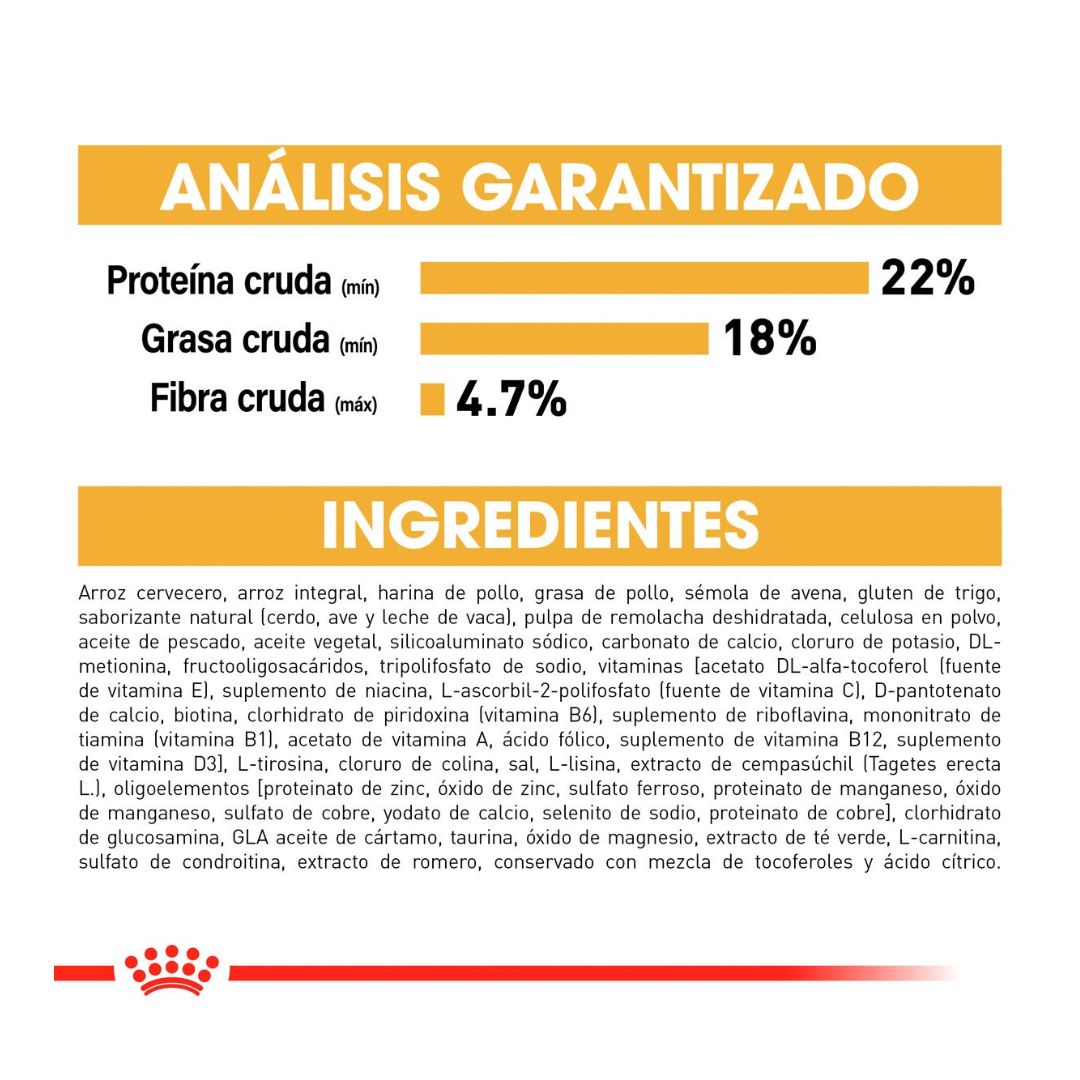 Royal Canin Alimento para Perro Adulto Raza Shih Tzu