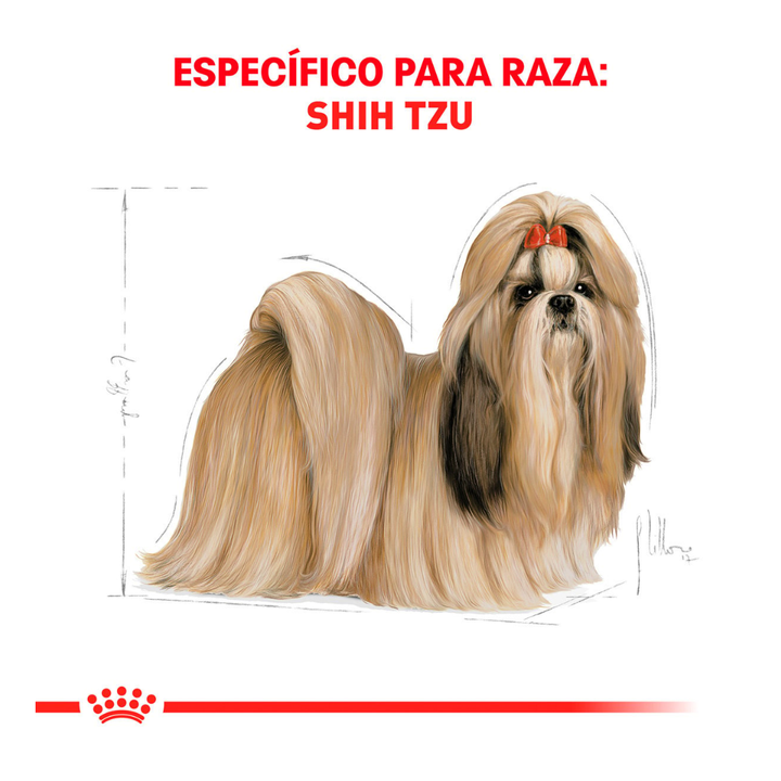 Royal Canin Alimento para Perro Adulto Raza Shih Tzu