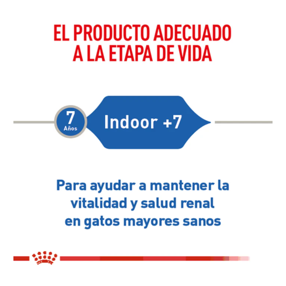 Royal Canin Gato Indoor Senior 7+