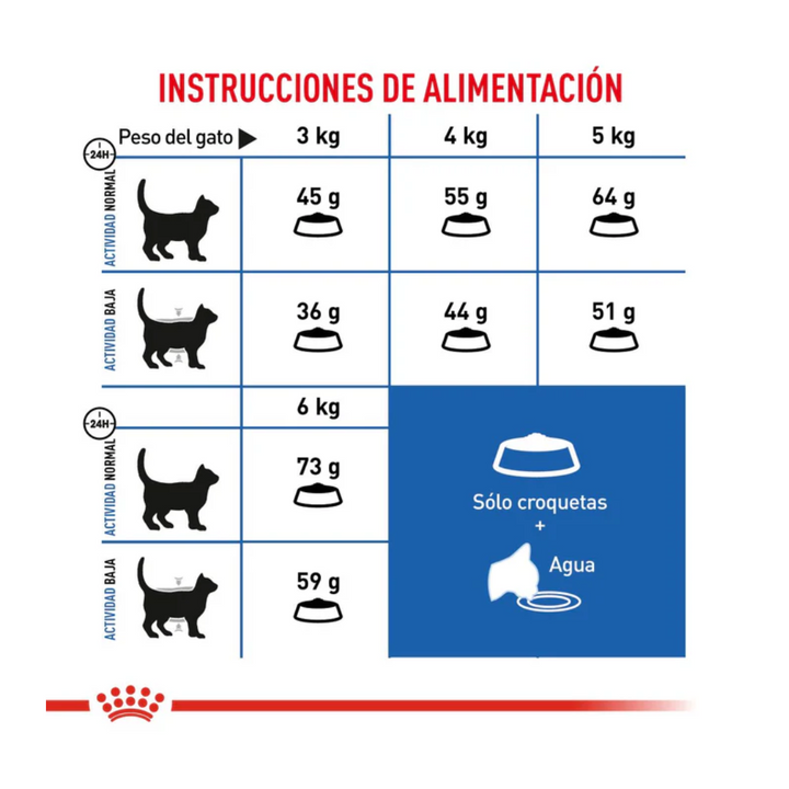 Royal Canin Gato Indoor Senior 7+
