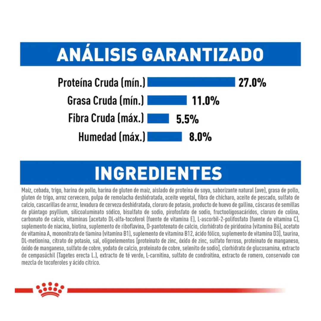 Royal Canin Gato Indoor Senior 7+