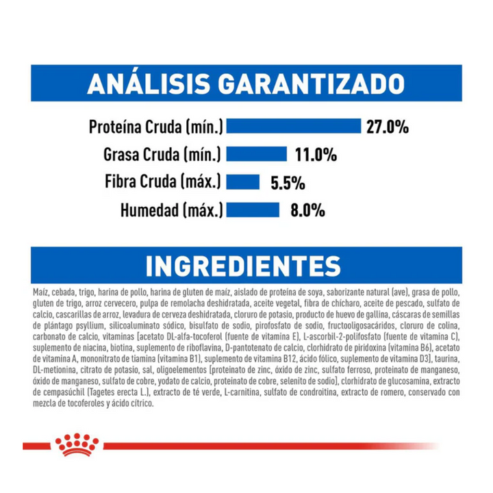 Royal Canin Gato Indoor Senior 7+