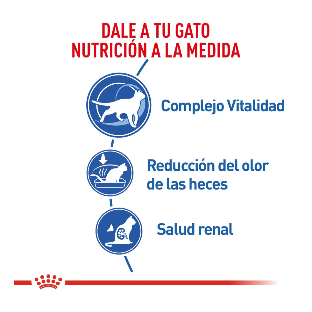 Royal Canin Gato Indoor Senior 7+