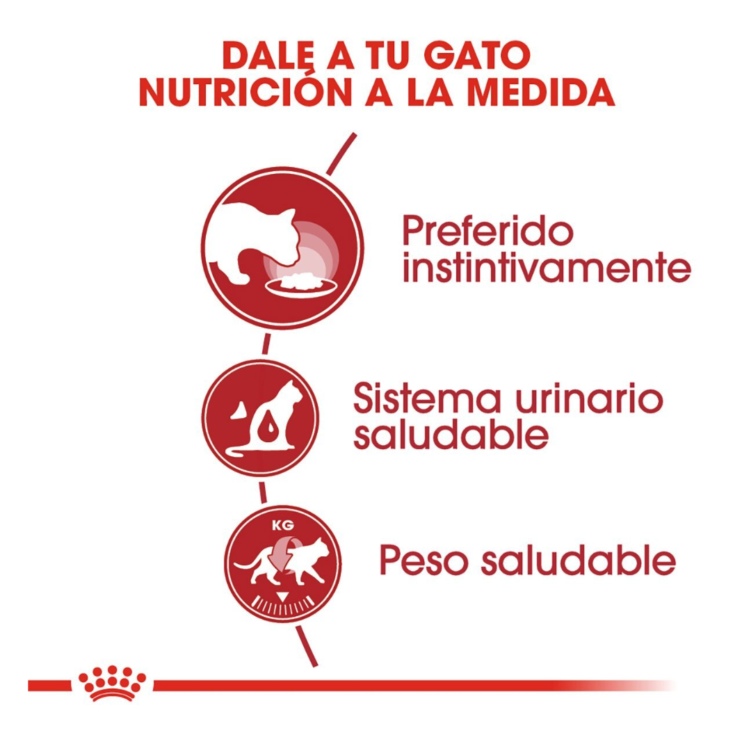 Royal Canin Instinctive Alimento Húmedo Fórmula Palatable para Gato Adulto, 85 g