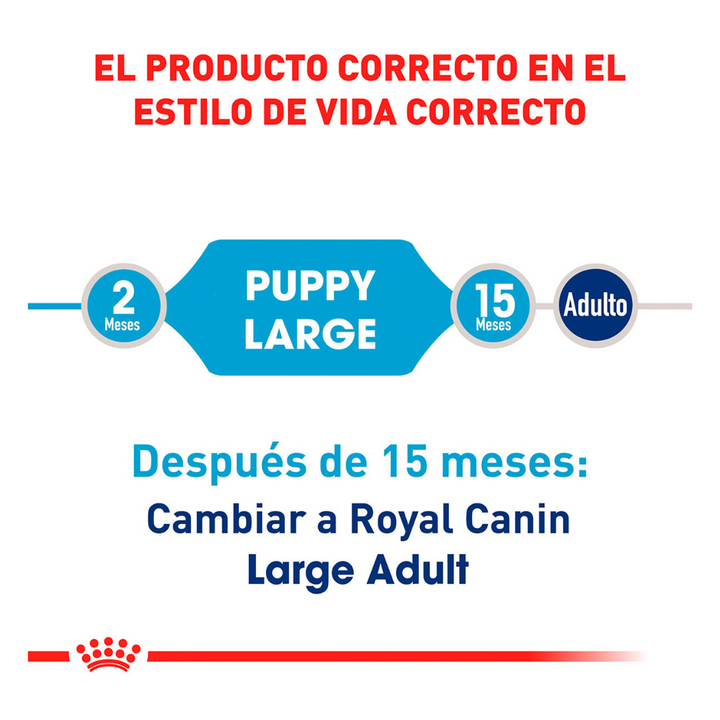 Royal Canin Puppy Large