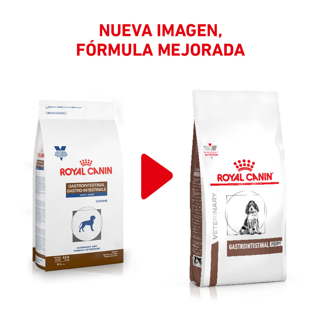 Royal Canin Veterinary Diet Gastrointestinal para Cachorro