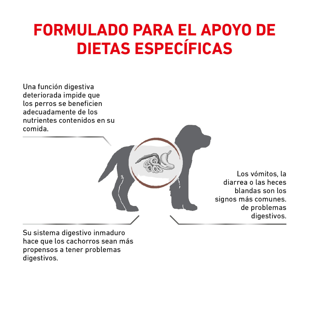 Royal Canin Veterinary Diet Gastrointestinal para Cachorro