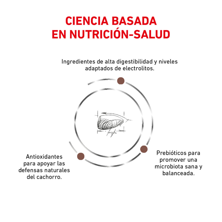 Royal Canin Veterinary Diet Gastrointestinal para Cachorro