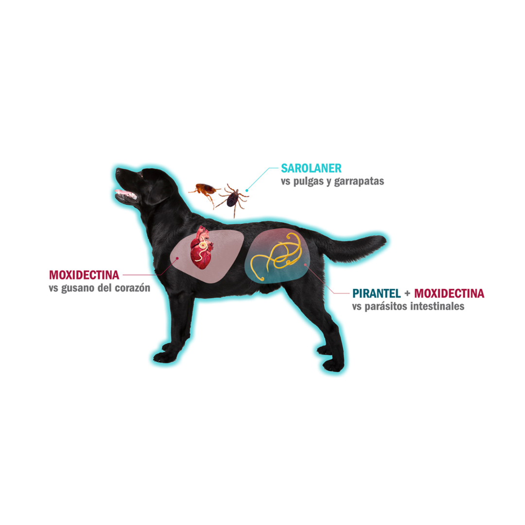 Simparica Trio Masticable Desparasitante Externo e Interno para Perro, 2.5-5 kg 1 tableta