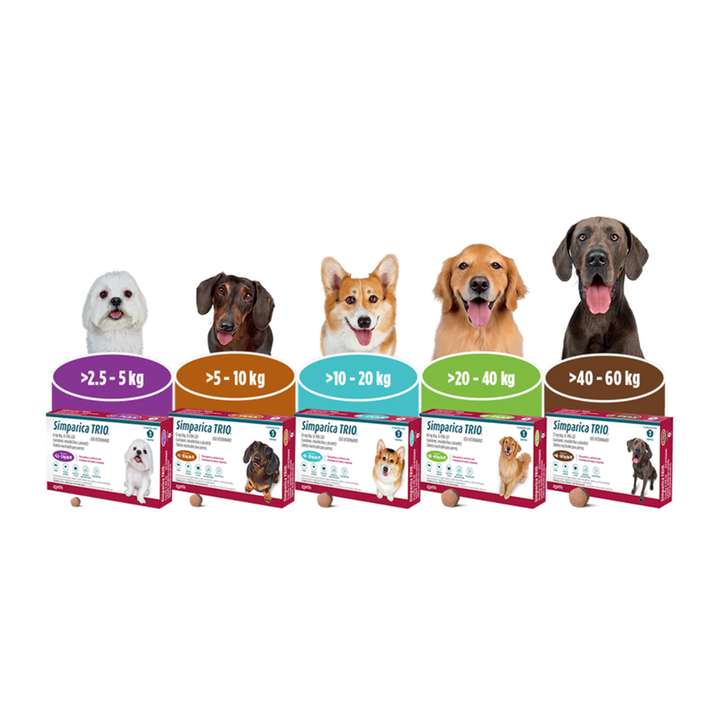 Simparica Trio Masticable Desparasitante Externo e Interno para Perro, 2.5-5 kg 1 tableta