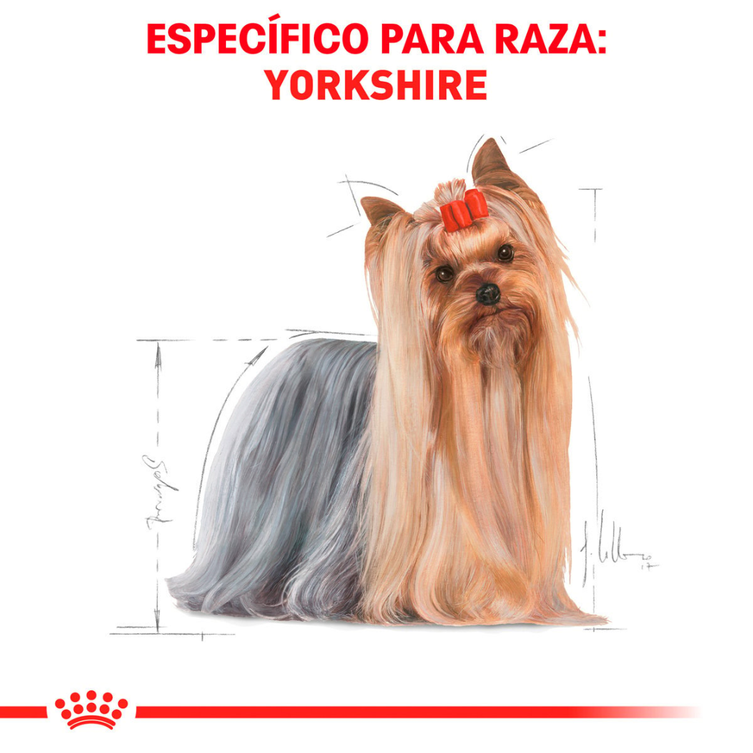 Royal Canin Yorkshire Terrier Adulto