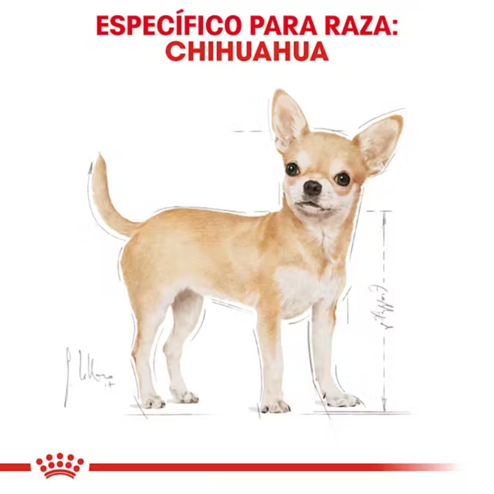 Royal Canin Chihuahua Adulto