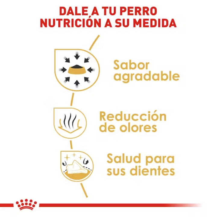 Royal Canin Chihuahua Adulto