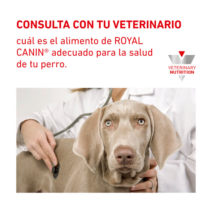 Royal Canin Hepatic Dog lata