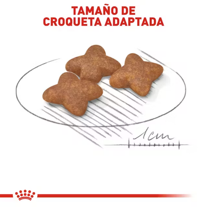 Royal Canin Kitten