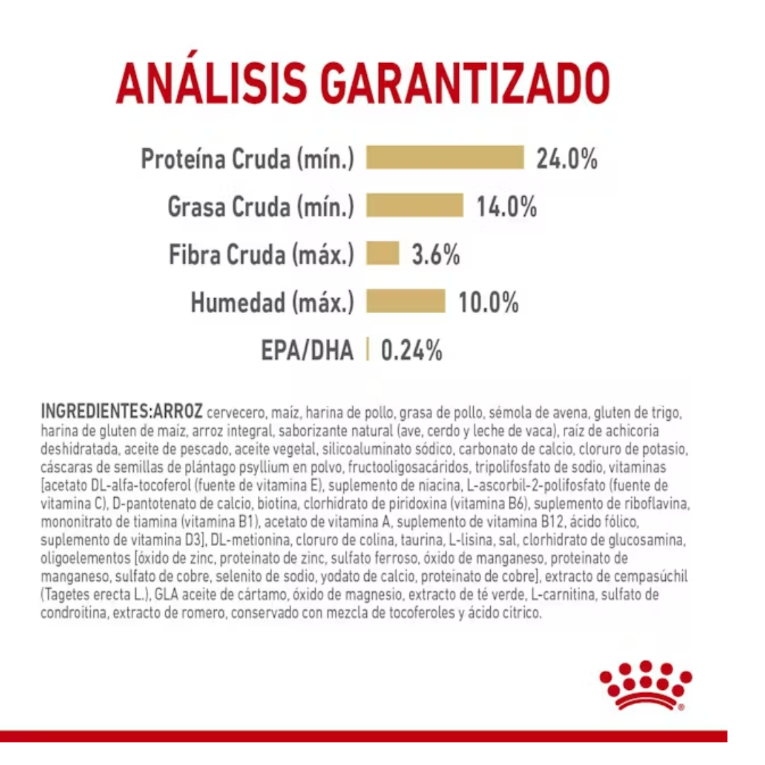 Royal Canin Pomeranian Adulto