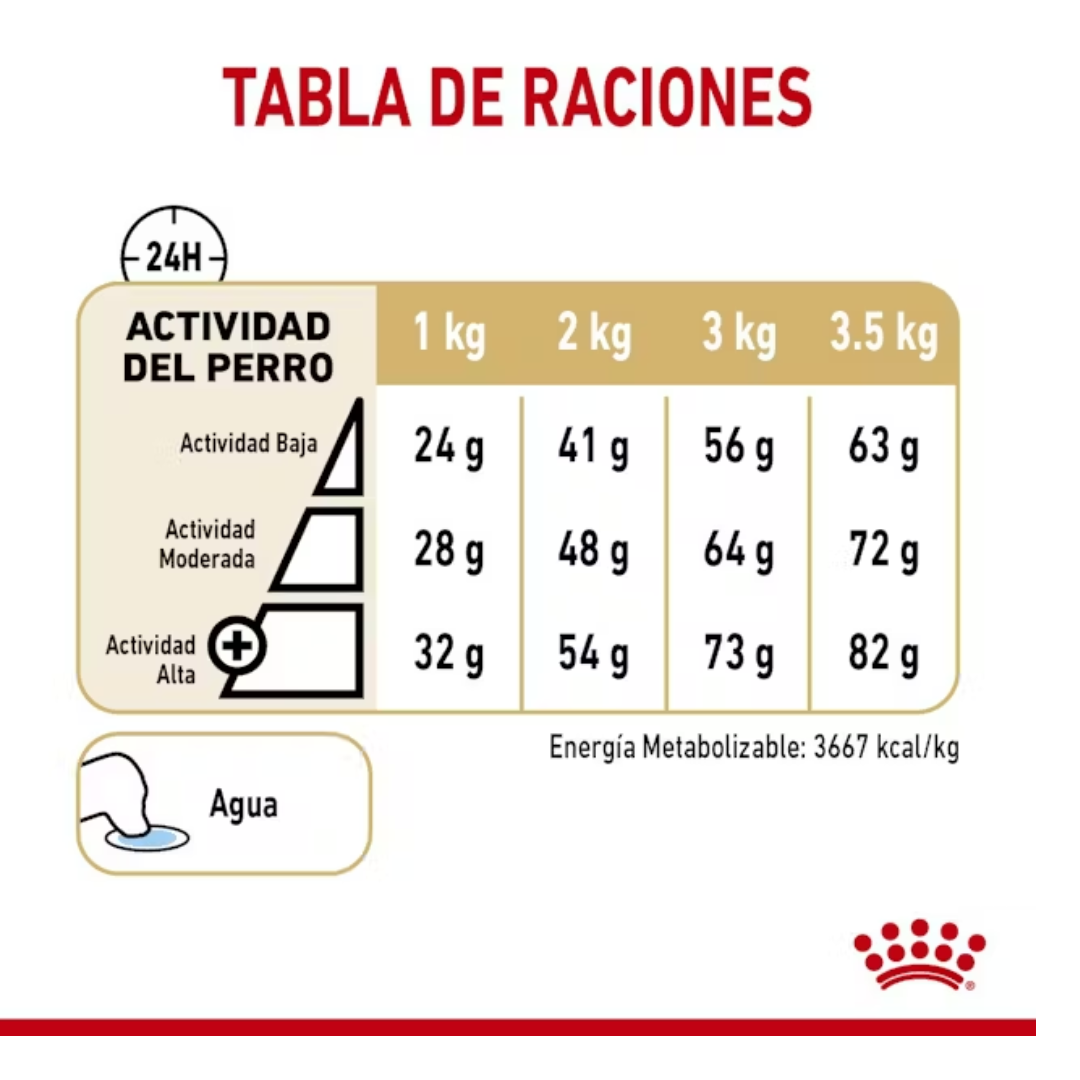 Royal Canin Pomeranian Adulto
