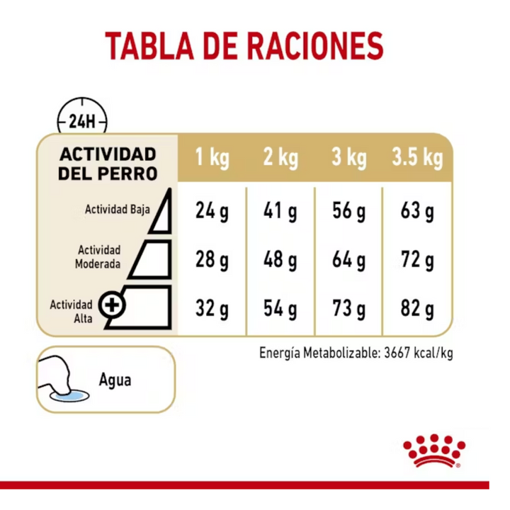 Royal Canin Pomeranian Adulto