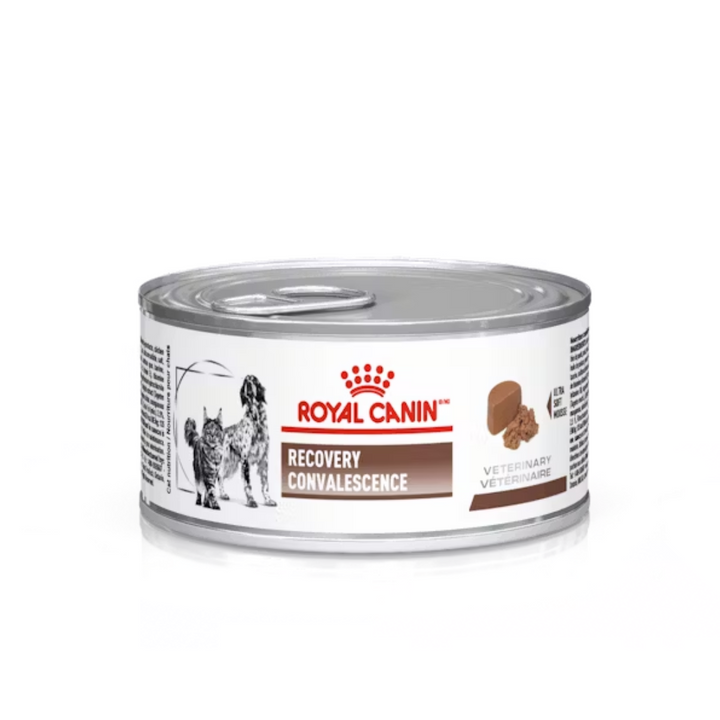 Royal Canin Recovery Alimento Húmedo