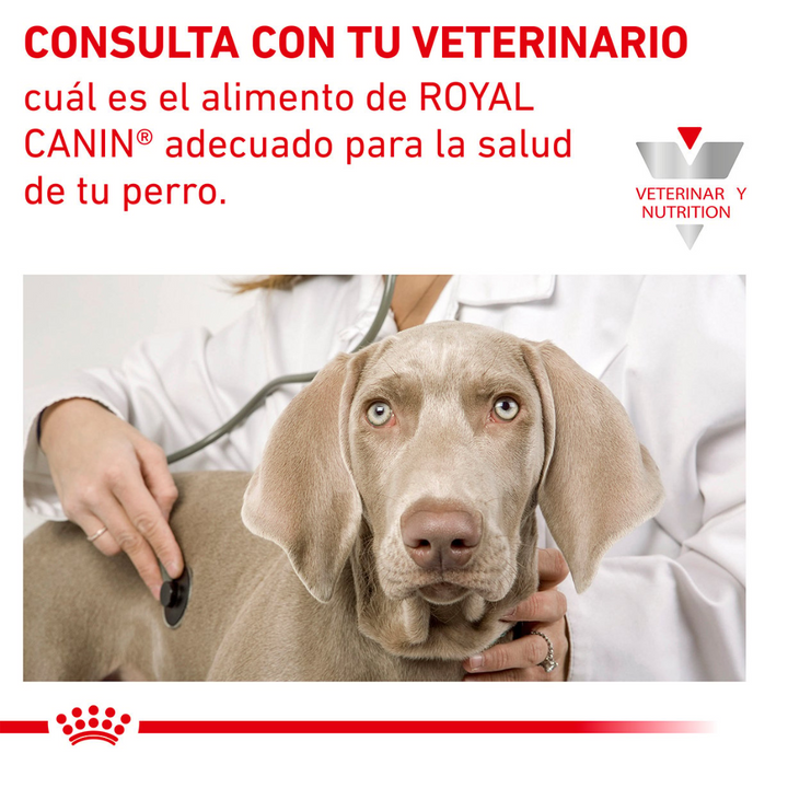 Royal Canin Renal Support D Morsels In Gravy Canine Alimento Húmedo