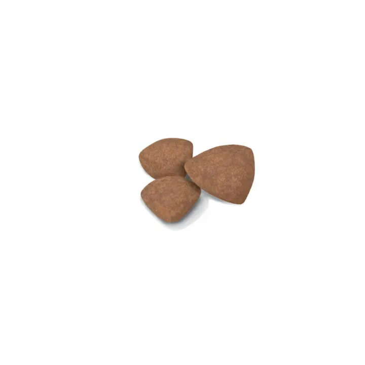 Royal Canin Small Puppy