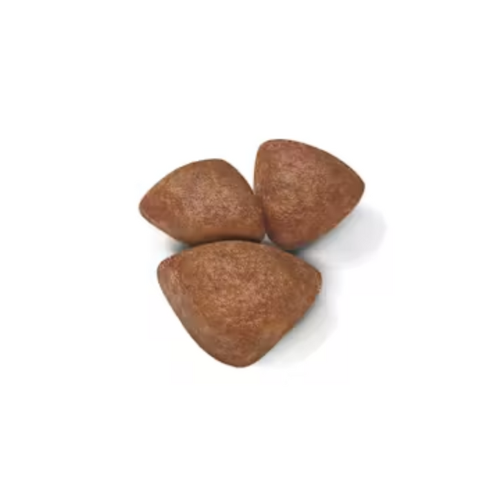 Royal Canin Small Starter Mother & BabyDog