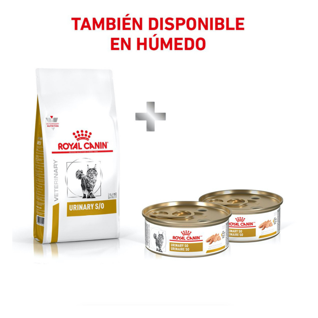 Royal Canin Urinary SO Feline