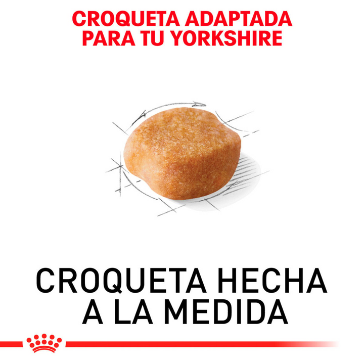 Royal Canin Yorkshire Terrier Adulto