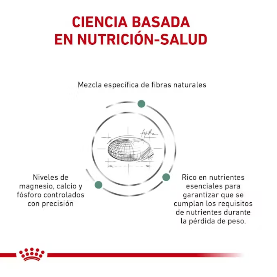 Royal Canin Satiety Support Weight Management Small Dog