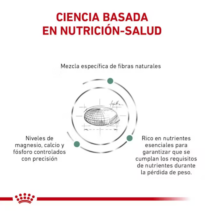 Royal Canin Satiety Support Weight Management Small Dog
